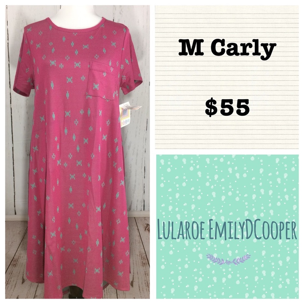 Medium Lularoe Carly Dress NWT